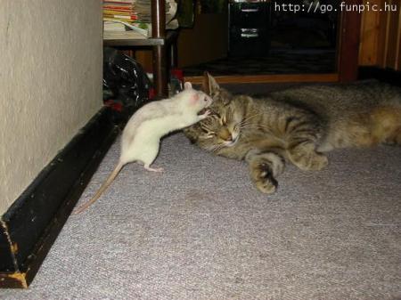 S�ance de gratte-gratte !!